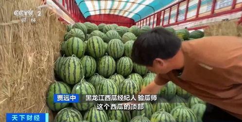 抽象带篮子娱乐吃瓜